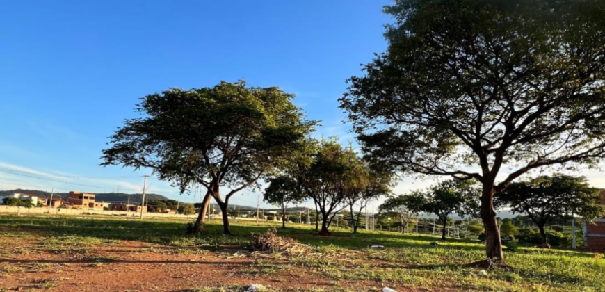 LOTES NA ZONA SUL DA CIDADE