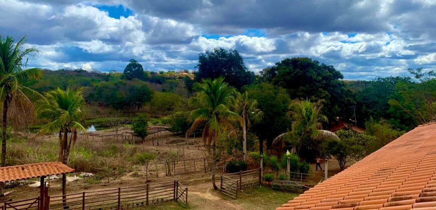 Sítio de Alto Padrão – Montes Claros