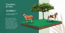 Loteamento Rural saída para Pirapora